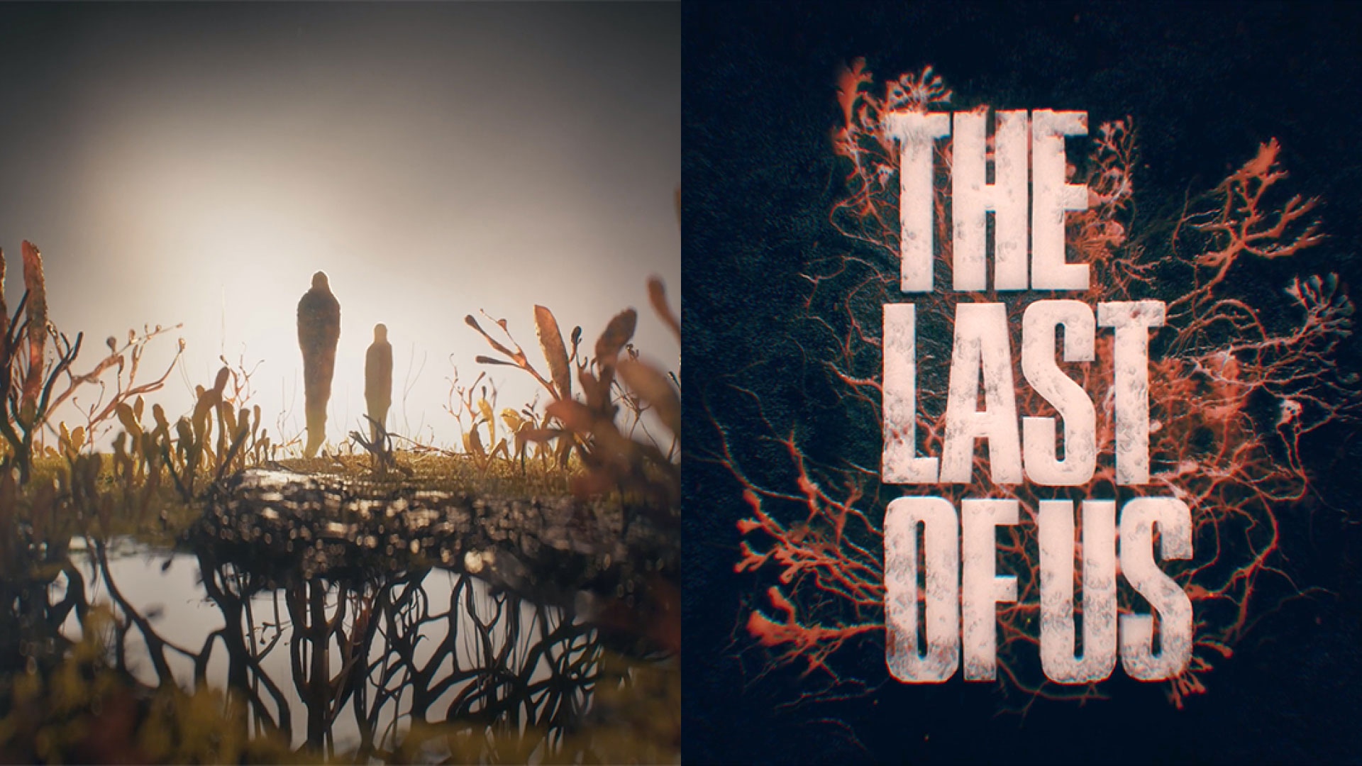 The Last Of Us HBO wallpaper in 2023